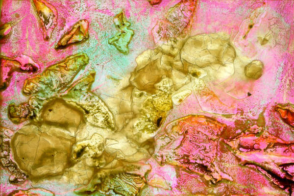 Michael
                  Emmert Structural 8